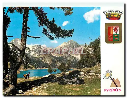 Cartes postales moderne Pyrenees En Haute Montagne
