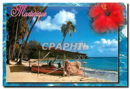 Cartes postales moderne Martinique