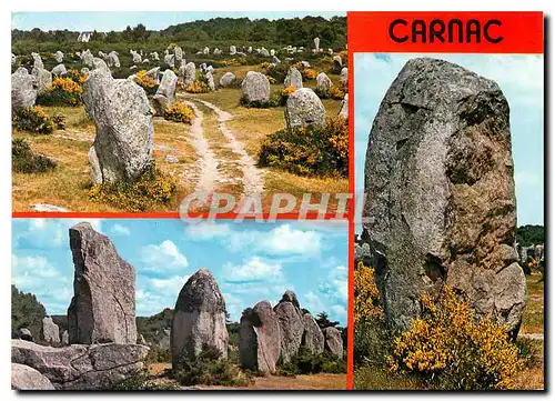 Cartes postales moderne Carnac Les Alignements de Menhirs de Kermario et du Menec