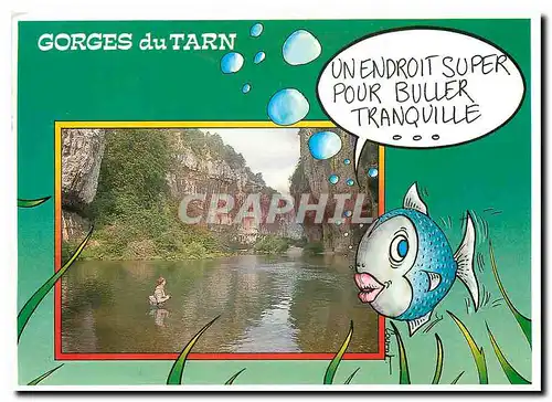 Cartes postales moderne Gorges du Tarn