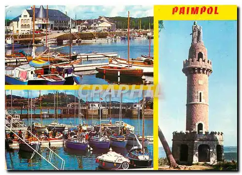 Cartes postales moderne Paimpol Le Bassin a Flats et la tour de Kerroch