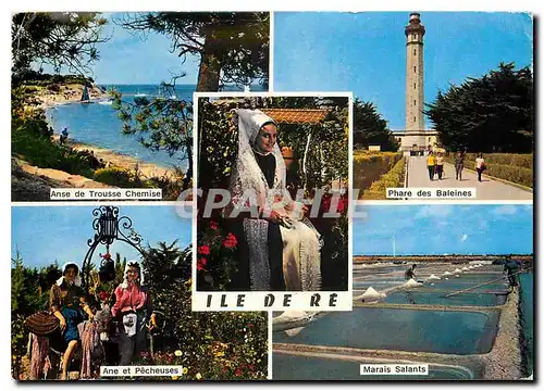 Cartes postales moderne Ile De Re Anse de Trousse Chemise Phare des Baleines Ane et Pecheuses Marais salants Folklore