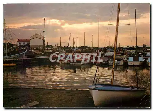 Cartes postales moderne Canet Plage La Plage Radieuse Le Port de Plaisance au crepuscule