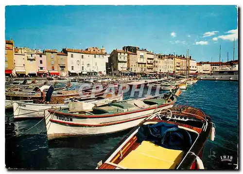 Cartes postales moderne Saint Tropez Var Vue d'Ensemble du Port