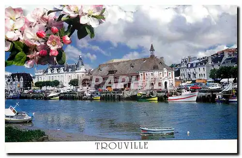 Cartes postales moderne Trouville