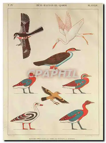 Cartes postales moderne Musee Champollion Figeac Lot Monument de l'Egypte et de la Nubie