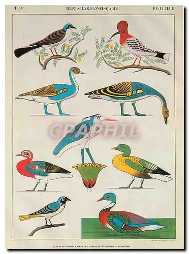 Cartes postales moderne Musee Champollion Figeac Lot Monument de l'Egypte et de la Nubie