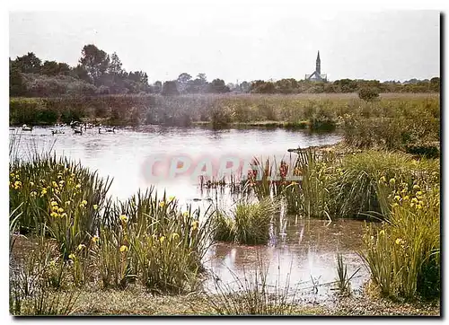 Moderne Karte Parc Regional de Briere Loire Atl au printemps