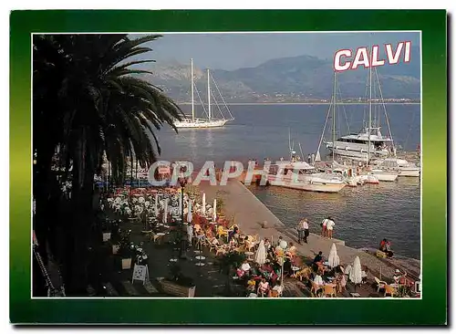 Cartes postales moderne Souvenir de Corse Calvi Le port