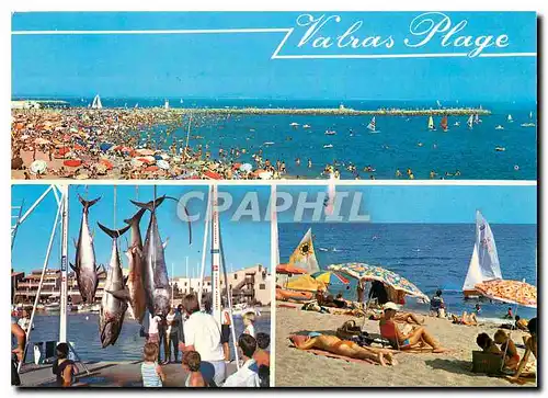 Cartes postales moderne Valras Plage La plage la peche au gros