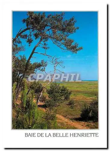 Cartes postales moderne Baie de la Belle Henriette Entre la Tranche sur Mer et l'Aiguillon La Faute Vendee