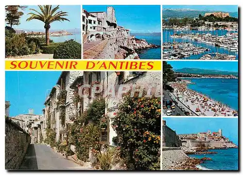 Cartes postales moderne Cote d'Azur Antibes AM