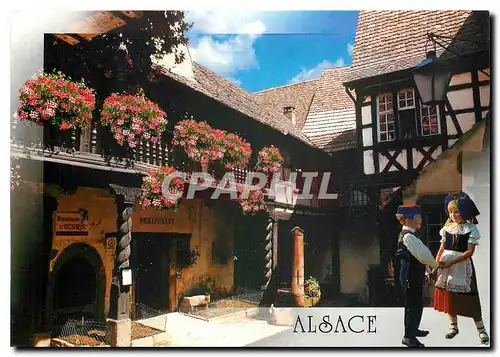 Cartes postales moderne Alsace Au Pays des Cigognes Riquewihr Haut Rhin