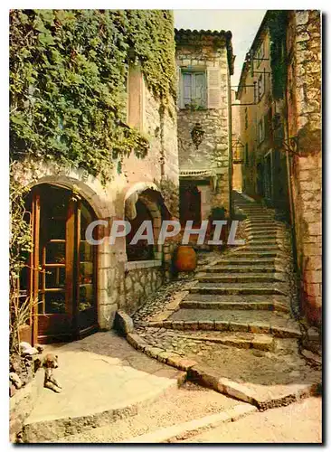 Cartes postales moderne La Cote d'Azur miracle de la nature Saint Paul de Vence AM