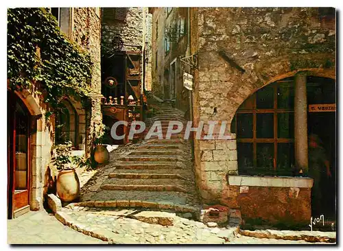 Cartes postales moderne La Cote d'Azur miracle de la nature Saint Paul Alpes Maritimes Vieille rue