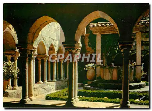 Cartes postales moderne La Cote d'Azur miracle de la nature Frejus Var Le Cloitre de l'Eglise Notre Dame