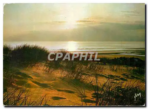 Cartes postales moderne Couleurs et Lumiere de France Coucher de soleil dans les dunes