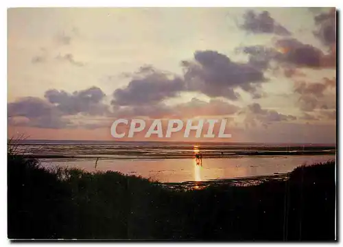 Cartes postales moderne Littoral de la Manche Coucher de soleil