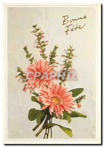 Cartes postales moderne Bonne Fete