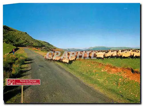 Moderne Karte Iteneraire de Tradition en Pays Basque et Bearn