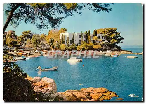 Cartes postales moderne Juan les Pins Alp Mar Le Cap d'Antibes Le port de l'Olivette