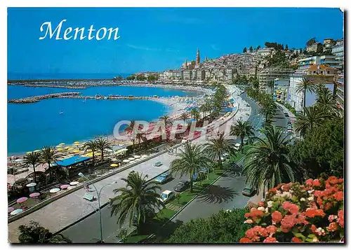 Cartes postales moderne La Cote d'Azur Menton