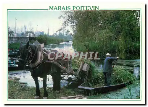 Moderne Karte Marais Poitevin Situe de part et d'autre