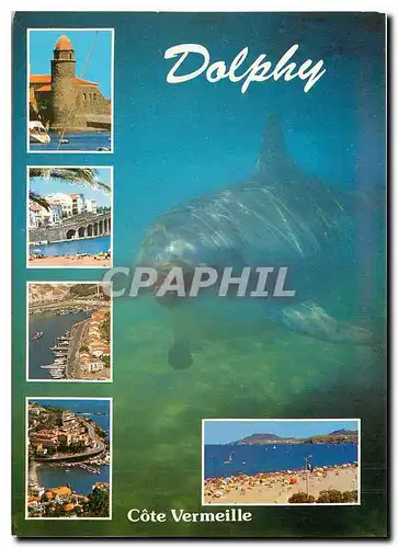 Cartes postales moderne Dolphy Cote Vermeille Dauphin