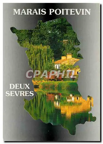 Cartes postales moderne Marais Poitevin Deux Sevres La cathedrake de la Verdure