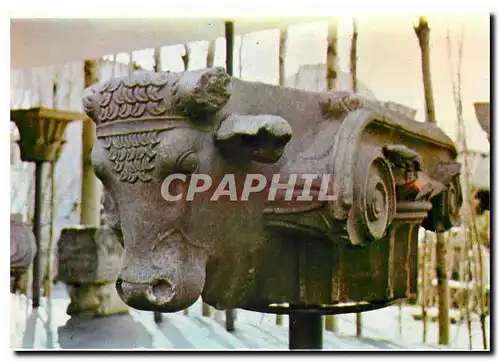 Cartes postales moderne Chapitau ionique avec deux tetes de torreaux Turkey