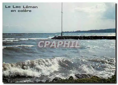 Moderne Karte Le Lac Leman en colere