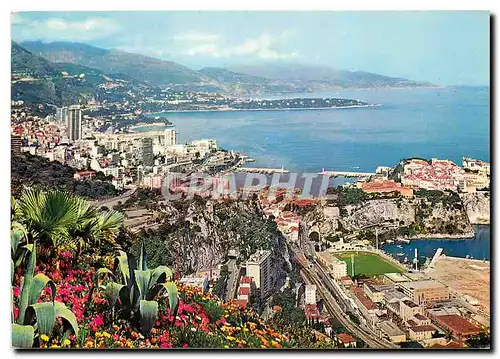 Cartes postales moderne Monaco Vue generale de la Principaute