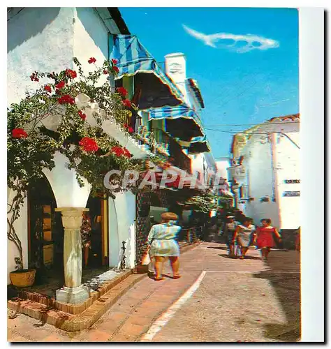 Cartes postales moderne Marbella Costa del Sol Rincon tipice