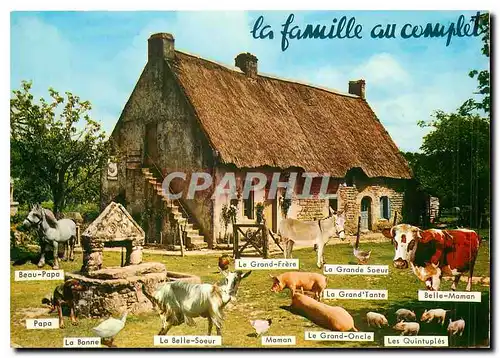 Cartes postales moderne La famille au complet Chevre Cochon Porc Vache Cheval Poules