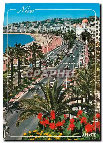 Cartes postales moderne La Cote d'Azur French Riviera Nice La Promenade des Anglais