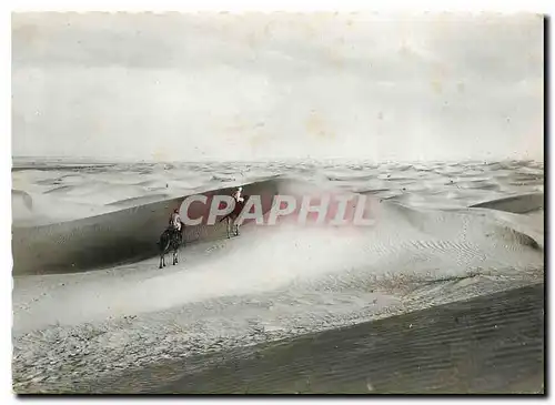 Cartes postales moderne Collection Saharienne La mer de sable Chameaux