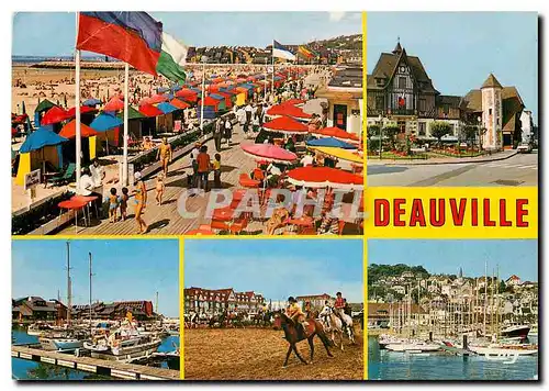 Cartes postales moderne Deauville Calvados Les Planches L'Hotel de Ville