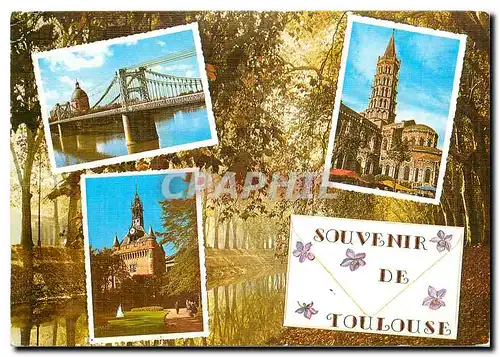 Cartes postales moderne Souvenir de Toulouse