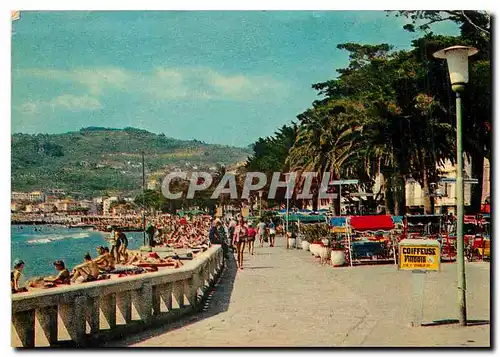 Cartes postales moderne Riviera dei Fiori Diano Marina Lungomate Coiffeuse Coiffeur