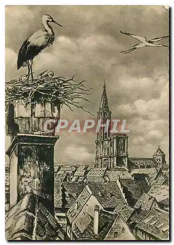 Cartes postales moderne Strasbourg Nid de Cigognes