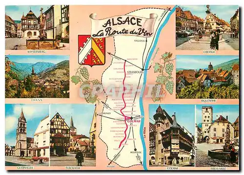 Cartes postales moderne Alsace La Route du Vin