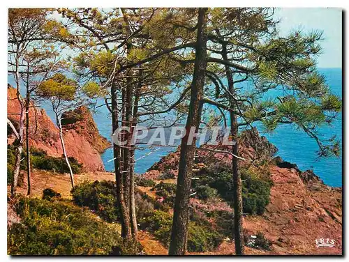 Cartes postales moderne Reflets de la Cote d'Azur Sur les bords de la Mediterranee