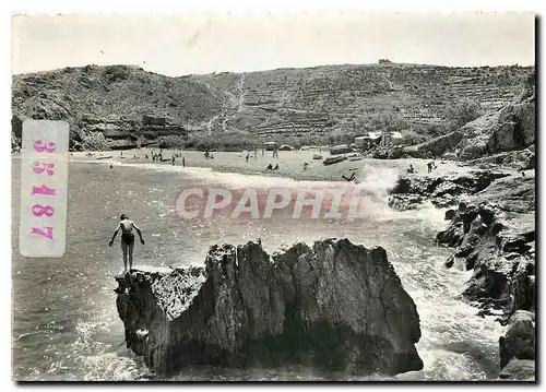 Cartes postales moderne Collioure PO Camping de la Calanque de l'Ouille sa plage et ses rochers