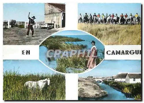Cartes postales moderne En Camargue B du Rh Le jeu du lasso Gardians