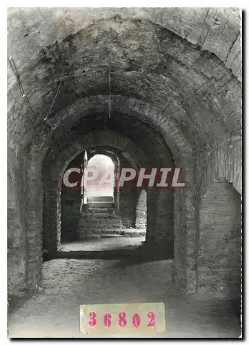 Cartes postales moderne Saint Michel de Cuxa PO La Crypte