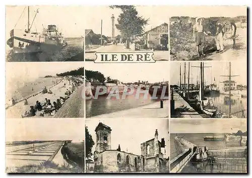 Cartes postales moderne Ile de Re St Martin
