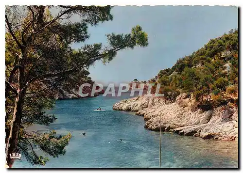 Cartes postales moderne Cassis sur Mer B du R La Calanque de Port Pin