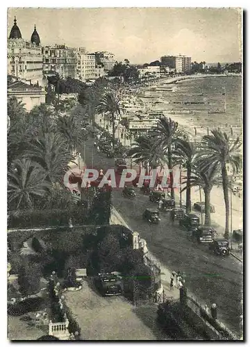 Cartes postales moderne Cannes La promenade de la Croisette