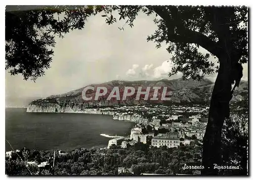 Cartes postales moderne Sorrento Panorama