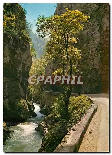 Cartes postales moderne Les Alpes Touristiques En Chartreuse Route du Desert dans les gorges du Guiers Mort